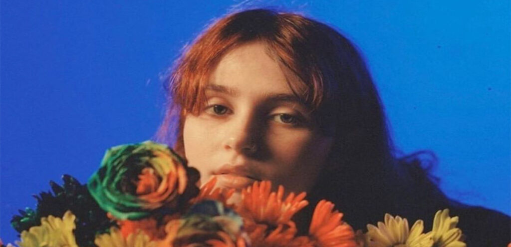 clairo-descanso-redes-sociales