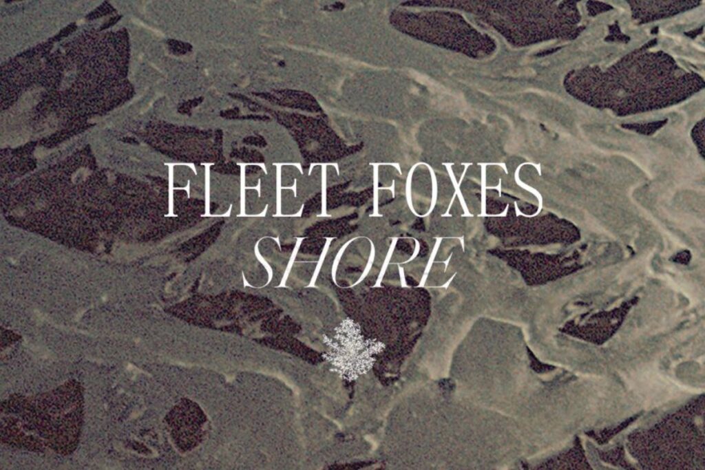 fleet-foxes