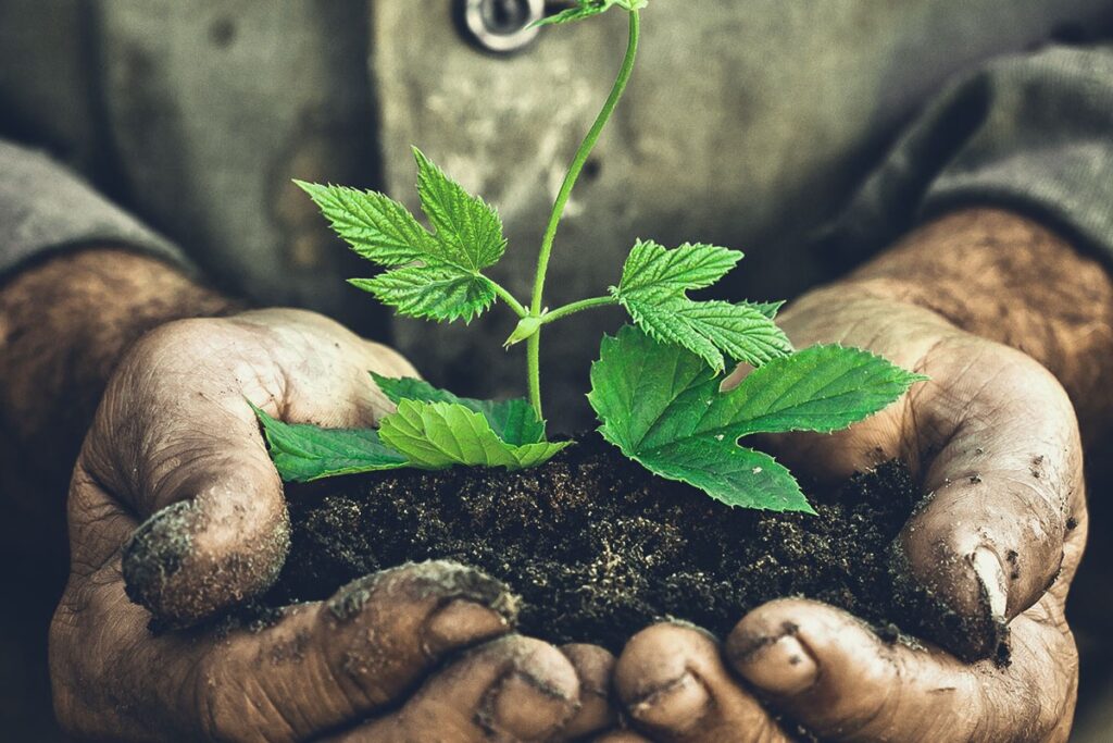 Lo orgánico y local arrasa en certámenes para negocio digital