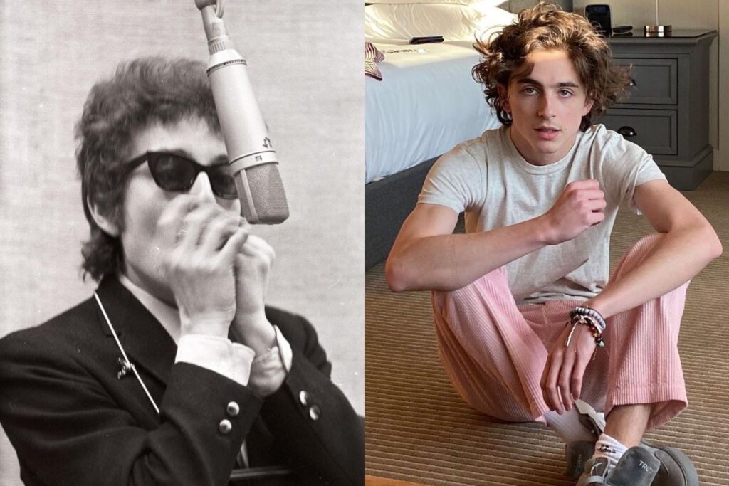 bob-dylan-timothee-chalamet-biopic-suspendida