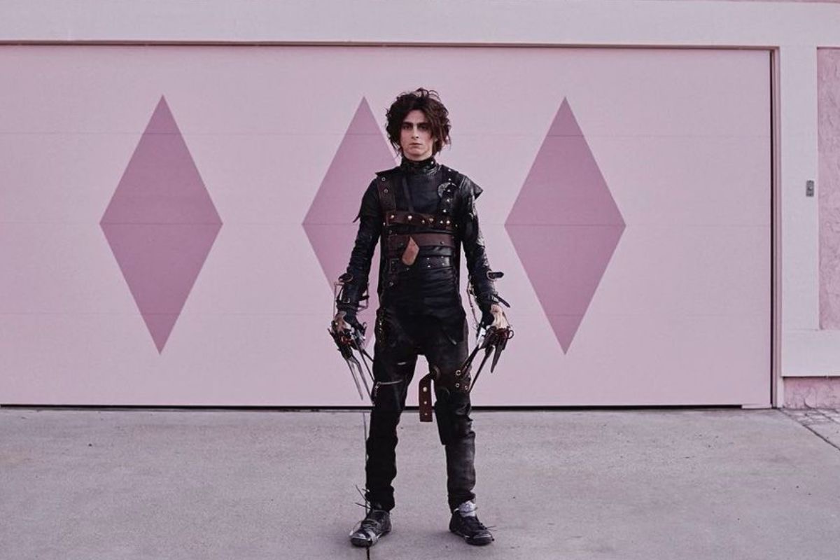timothee-chalamet-edward-scissorhands-super-bowl-comercial