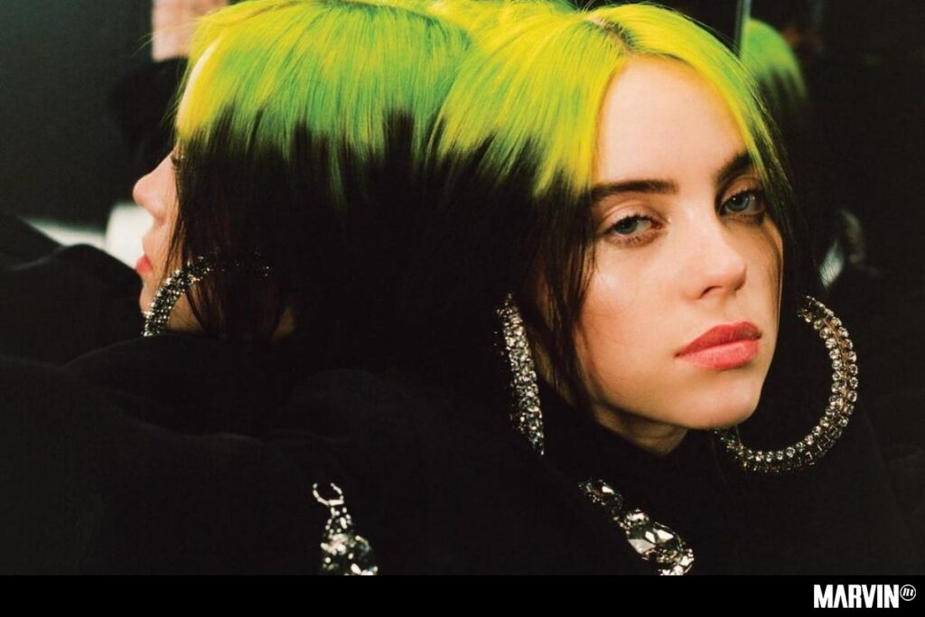 billie-eilish-orden-restriccion-john-hearle-amenaza-casa (1)