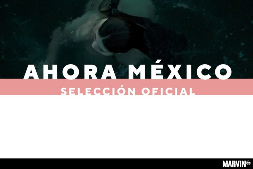 ficunam-festival-internacional-de-cine-seleccion-ahora-mexico (1)