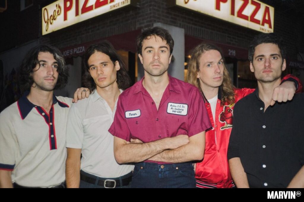 the-vaccines-what-did-you-expect-edicion-especial-aniversario