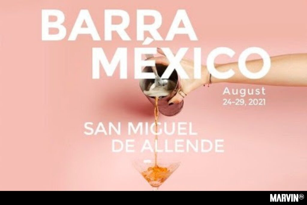 barra-mexico-san-miguel-de-allende-ara-carvallo-paula-garcia