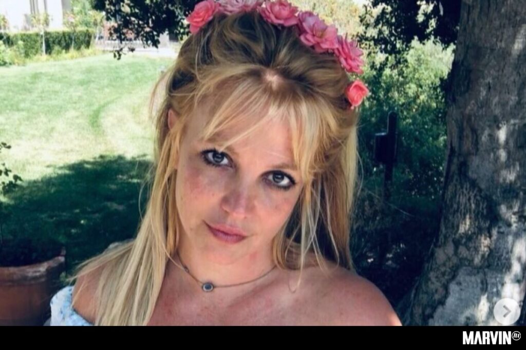 britney-spears-topless-fotos-libertad-tutela