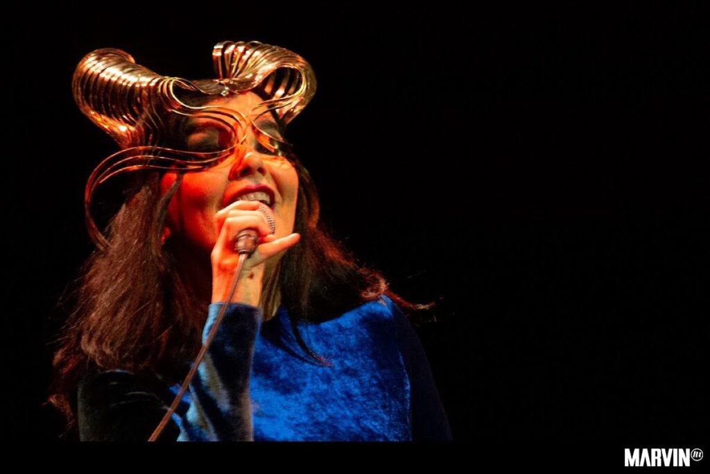 bjork-concierto