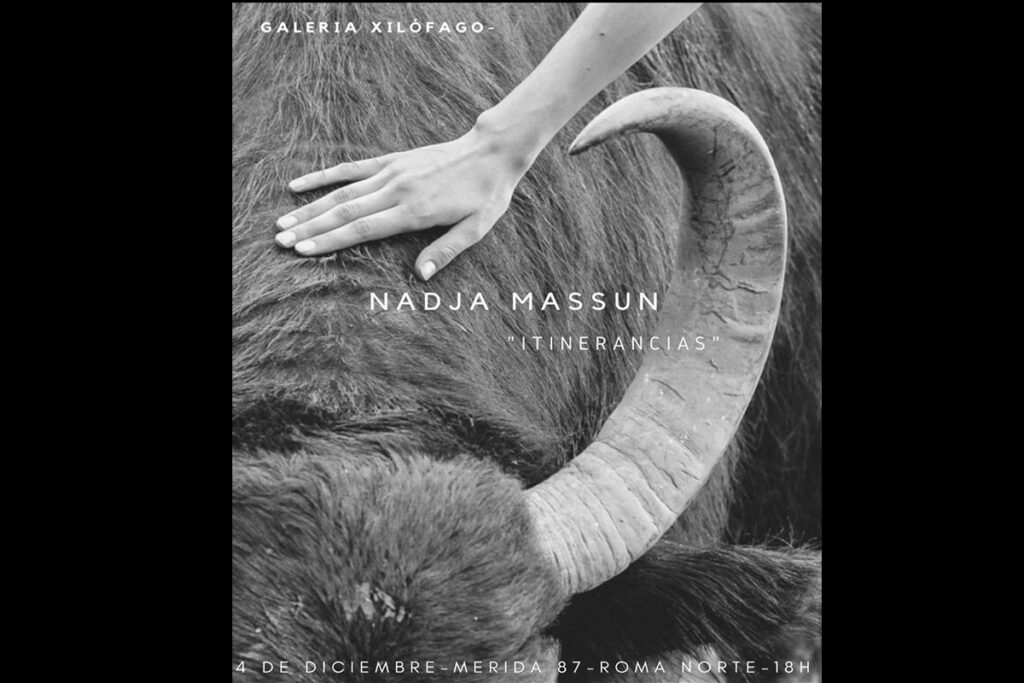 Xilofago Galería presenta Itinerancias de Nadja Massün
