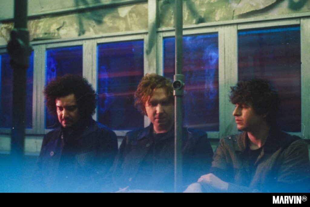 the-kooks-10-tracks-echo-in-the-park-disco-anuncio