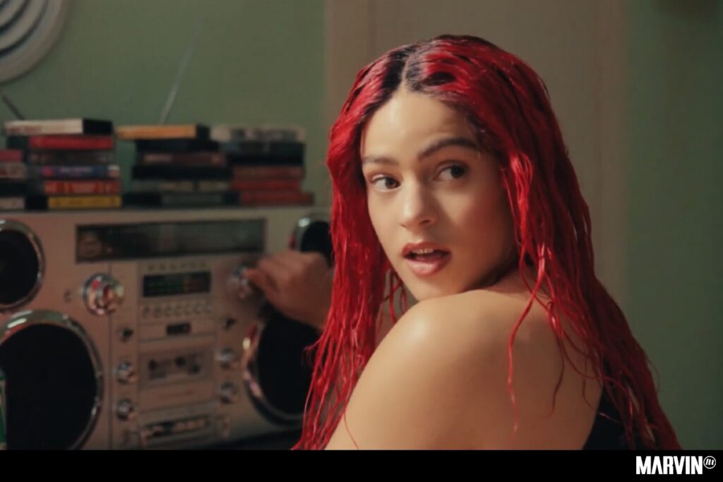 rosalia-chicken-teriyaki-cancion-video