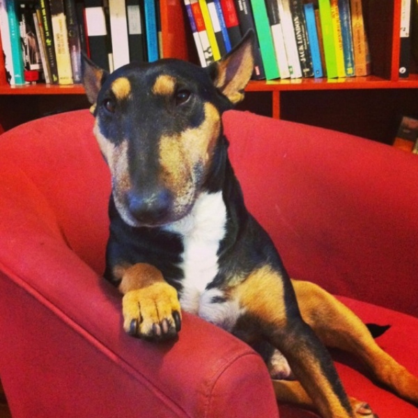 producciones el salario del miedo gran premio nacional perdiosimo gonzo jm servin 5