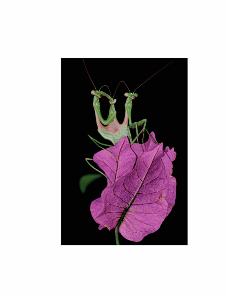 Ondeado, nueva exposición de María Rébora en Cromática 4 Marvin 2022 Chro51