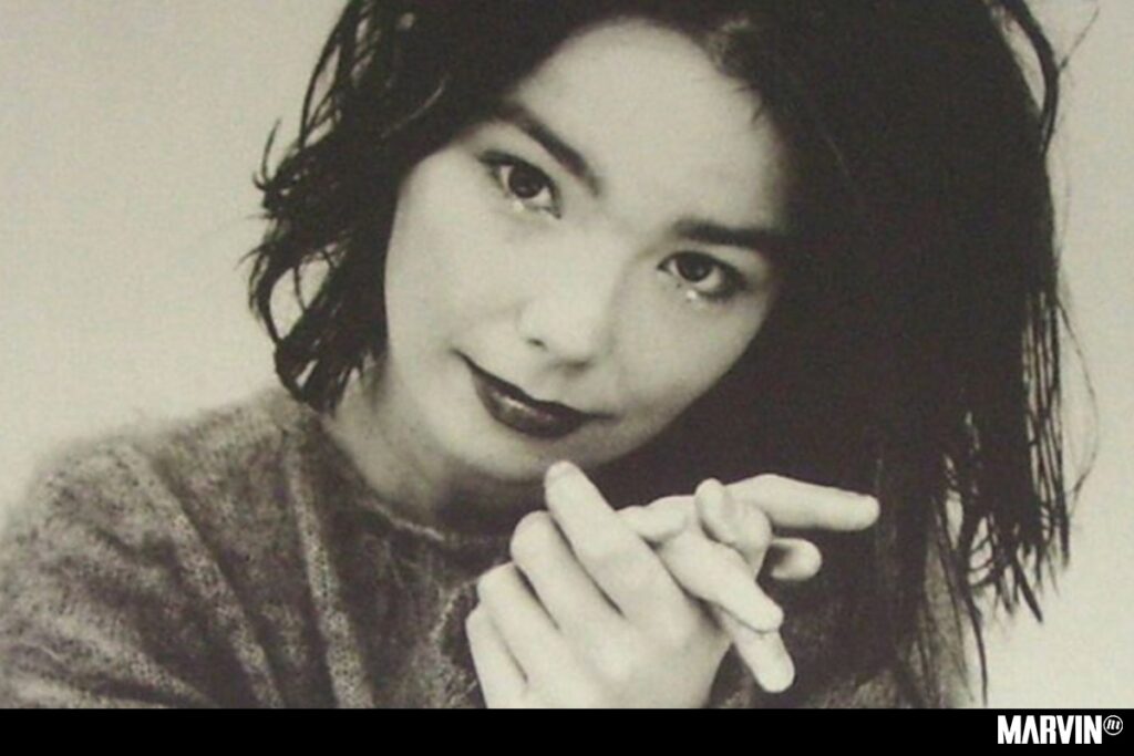 bjork-stalker-ricardo-lopez-historia