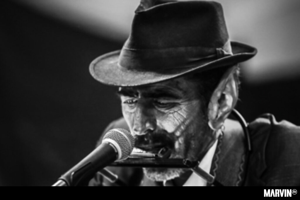 Harlan T. Bobo: canciones sombrías desde un porche