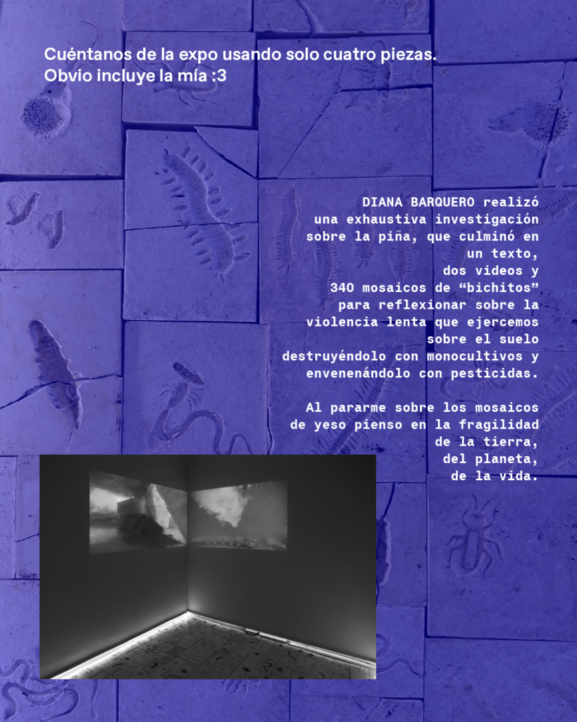 Marvin 2022 Entrevista a Ana Derrumbe 04