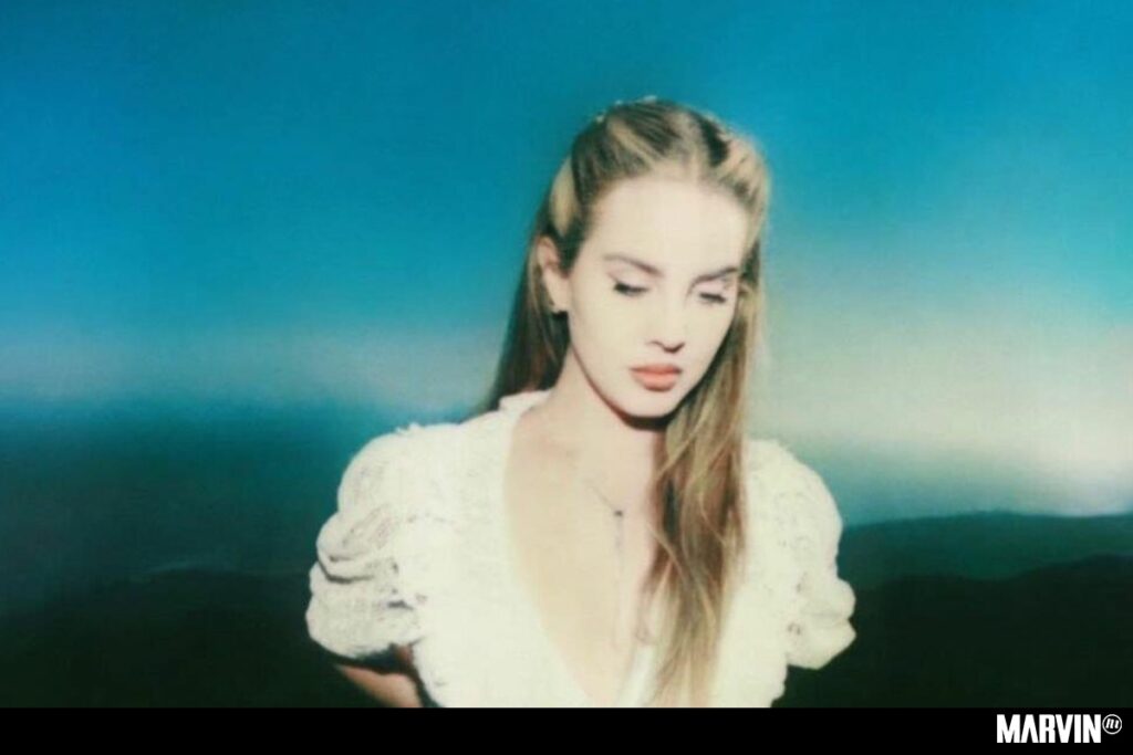 lana-del-rey-disco-robo-auto