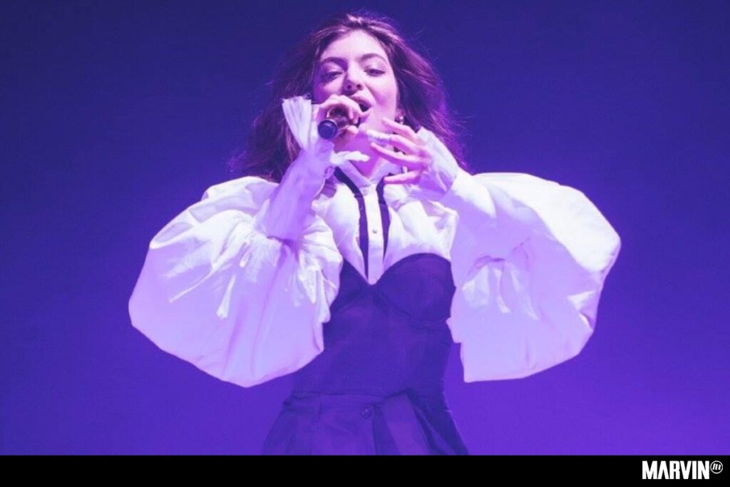 lorde-mexico-concierto-churros-fans
