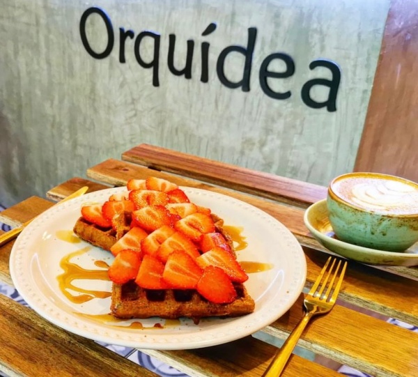 orquidea cafe festival marvin pare de dormir amsterdam 146 condesa 3