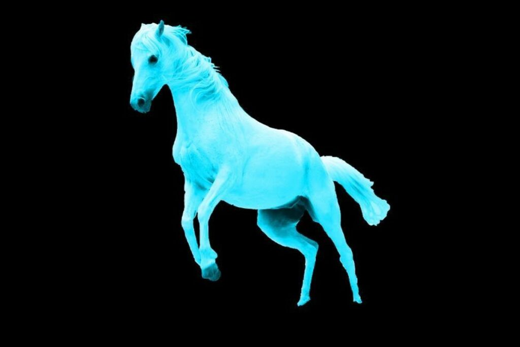 Café Marvin excelso entre la chanza con The NRG