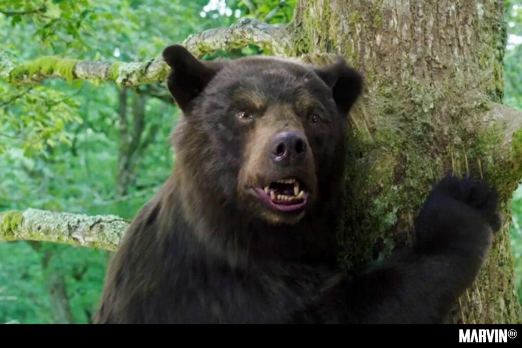 Un nuevo documental contará la verdadera historia de ‘Cocaine bear’