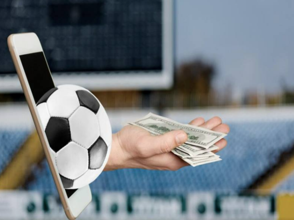 Casino, academia de apuestas