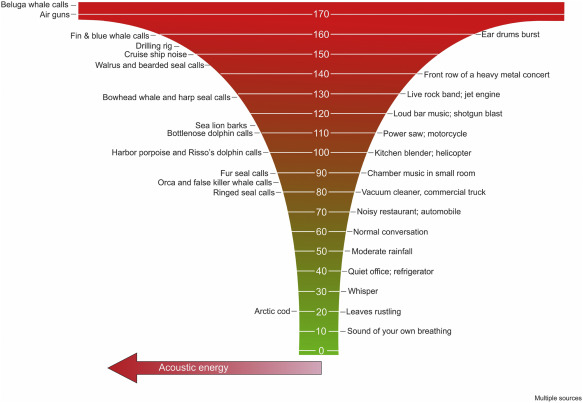 Marvin 2023 dB tabla