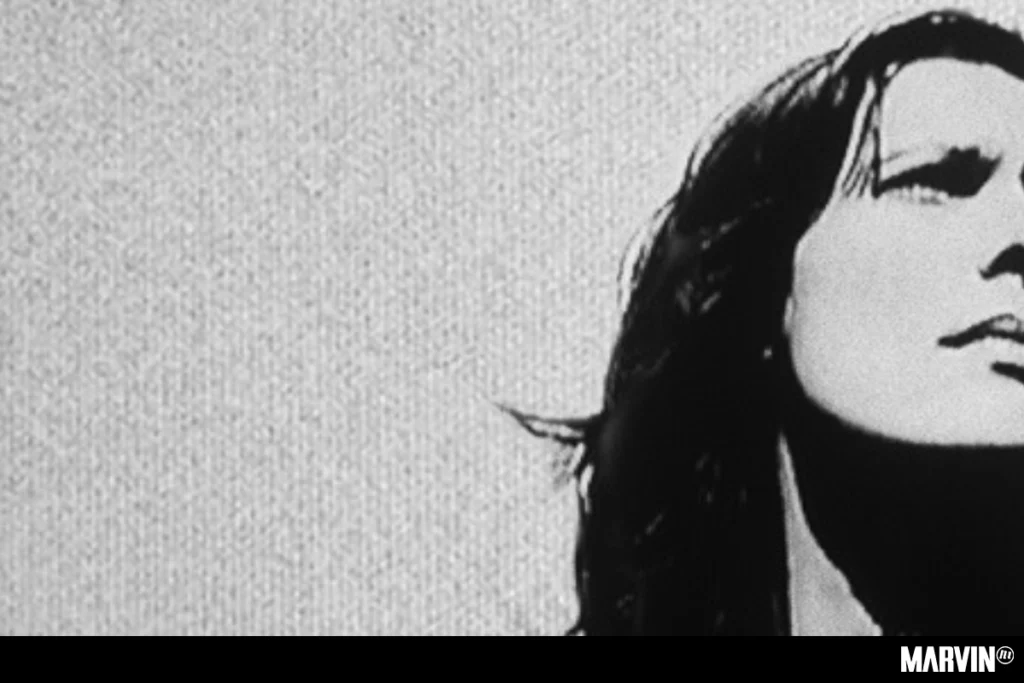 Laetitia Sadier