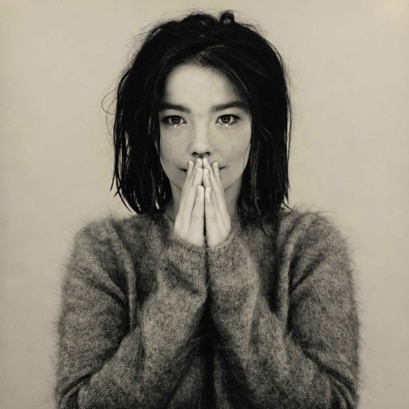 Björk desata su fascinación por los hongos en el nuevo documental: "Fungi: Web of Life" 2 371330747 24481096958155409 273549030575868598 n