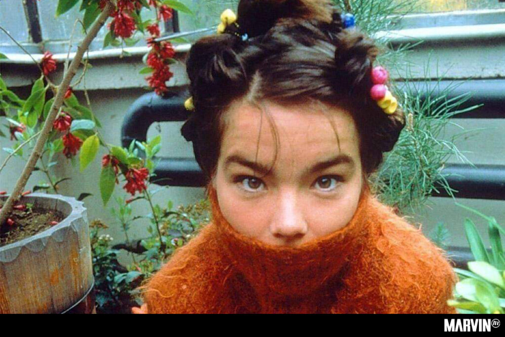 Björk Fungi