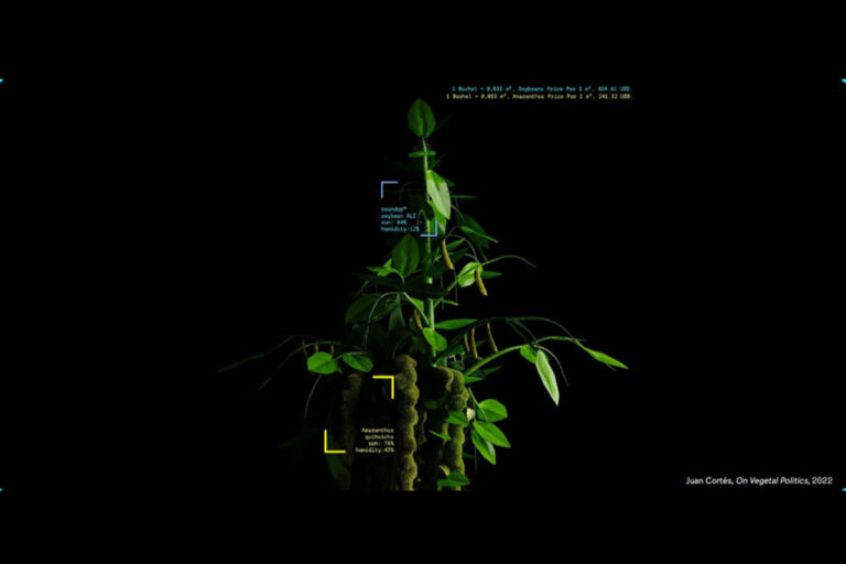 Museo digital. Inteligencias y artificios en el MUAC