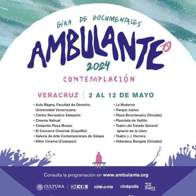 Ambulante en Veracruz 2 image 85