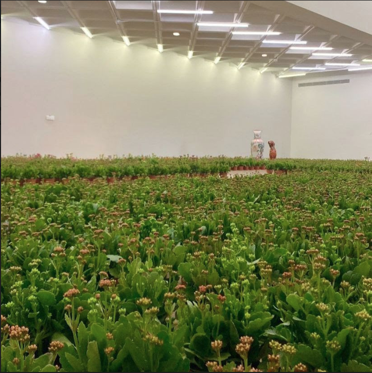 Captura de pantalla 2024 05 23 a las 10.41.19