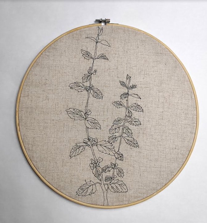 Captura de pantalla 2024 06 05 a las 13.13.39