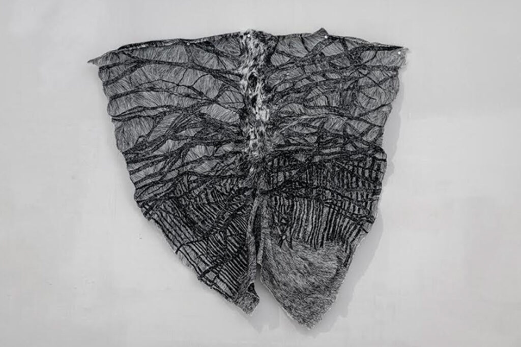 El Hilo y La Hierba expo de Carmen Mendoza Chávez