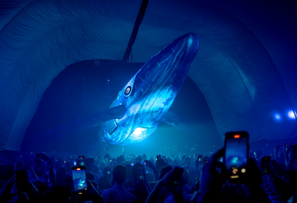 fuerza bruta aven fronton mexico de la guarda performance 5