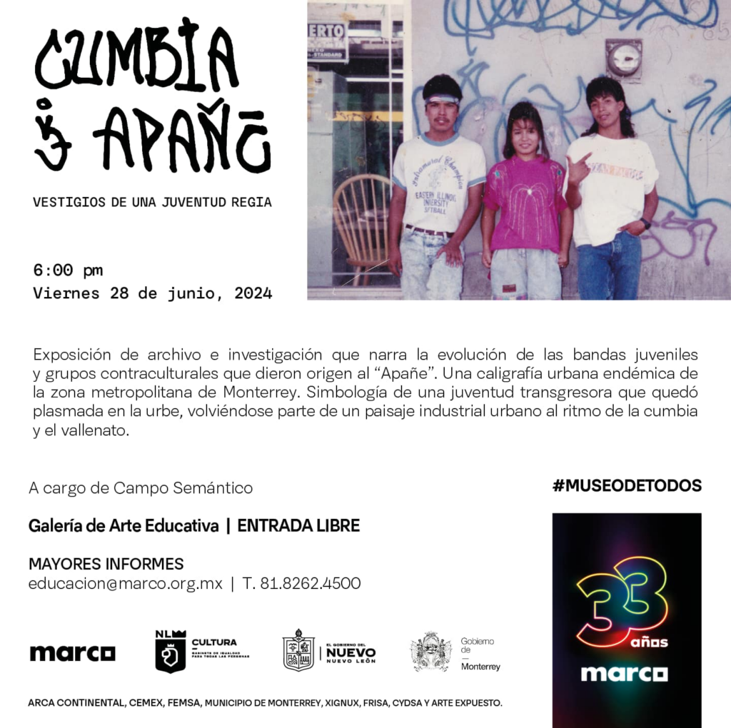 Cumbia y Apañe, expo en el MARCO 8 image 55