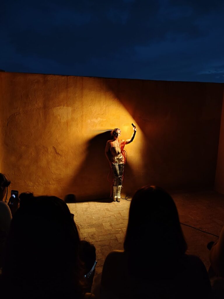 Performace Art Chicago 1
