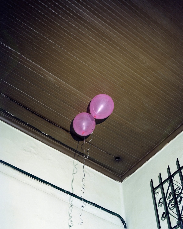 belafonte sensacional entrevista llamas llamas llamas 2