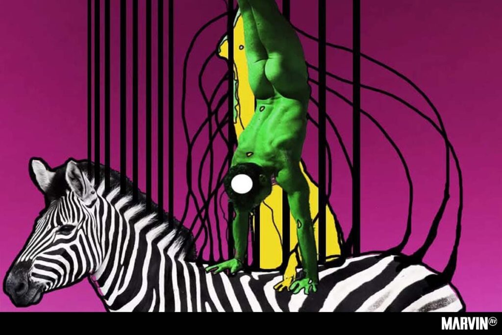 Shendra Stucki en El Armadillo