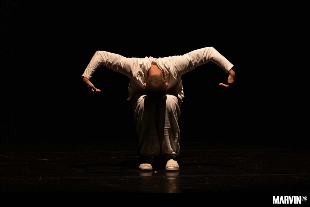 Circo ContemporáNEO Danza Multidisciplinaria 25 años