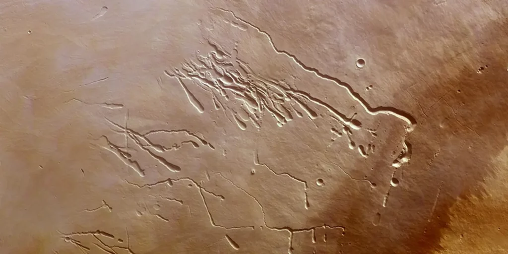 Materia Abierta 2025 por Naomi Rincón Gallardo 2 Materia2