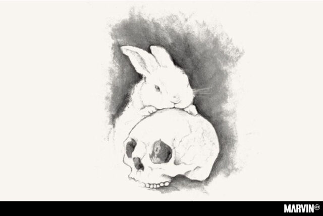 Sesión Vermú 12 en el CCEmx