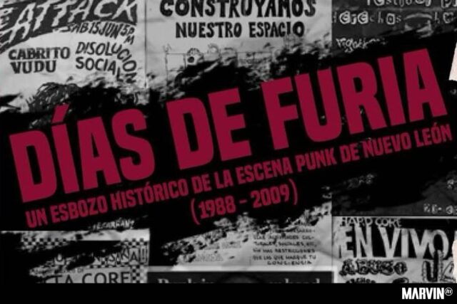 dias-de-furia-libro-diego-armando-cavazos-nuevo-leon-punk