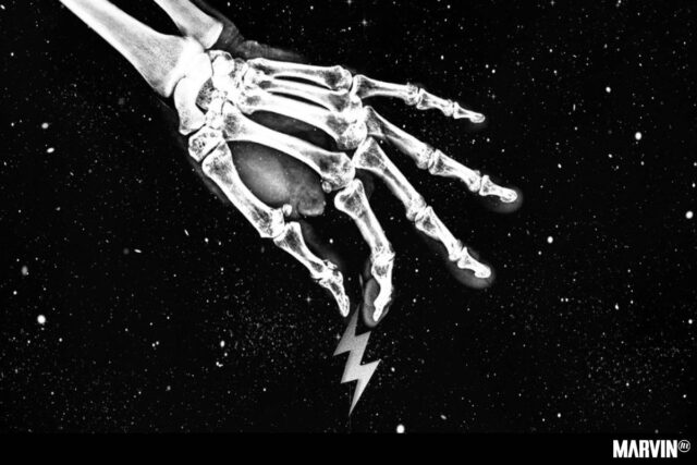 sociedad-del-estruendo-arboles-mentirosos-toluca