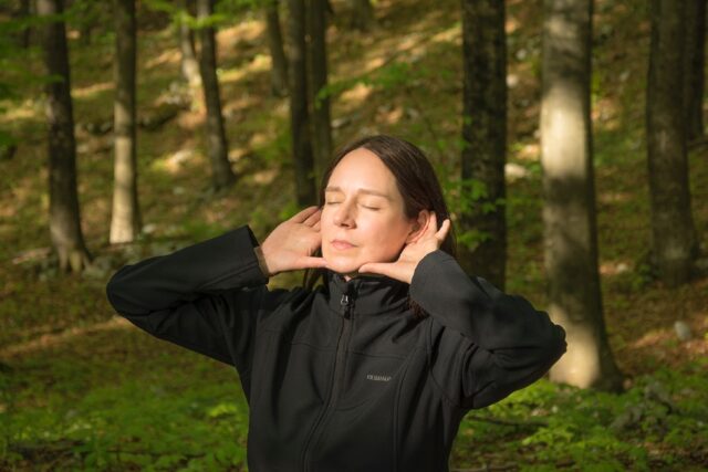 Café Marvin en la congestión del bosque con Martina Testen/ Simon Šerc