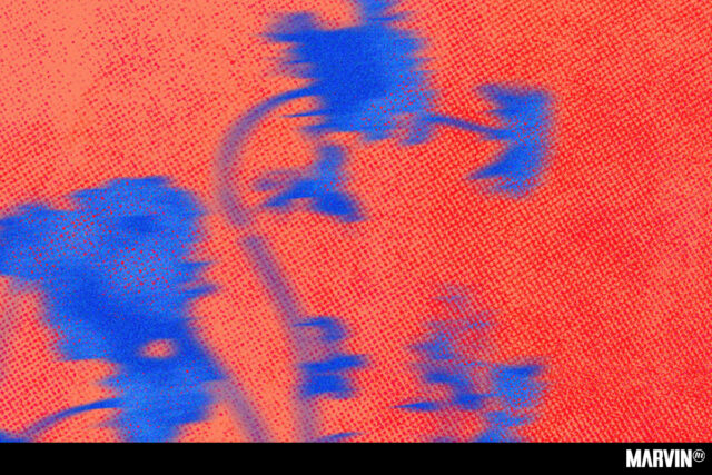 Abierto de Diseño y WDCD en el Bosque de Chapultepec