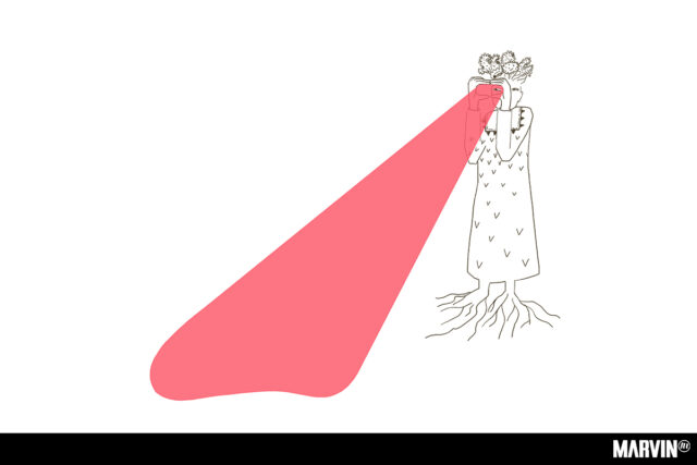 Ambulante convoca a participar en Vivero