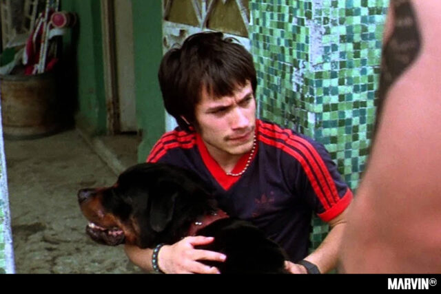 Amores Perros y Gustavo Santaolalla en Bellas Artes