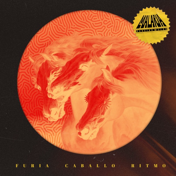 malaria dancing club entrevista furia caballo ritmo 1