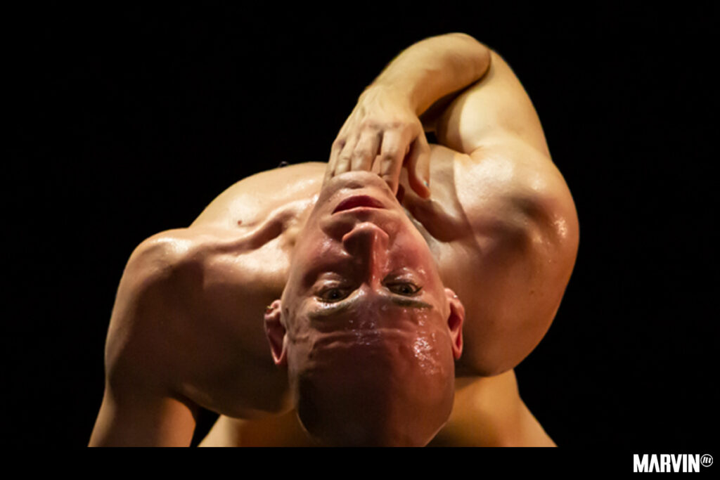 71Bodies 1Dance en El Chopo